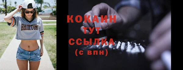 гидра Аркадак