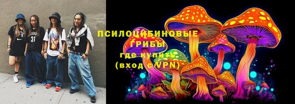эйфоретик Арсеньев