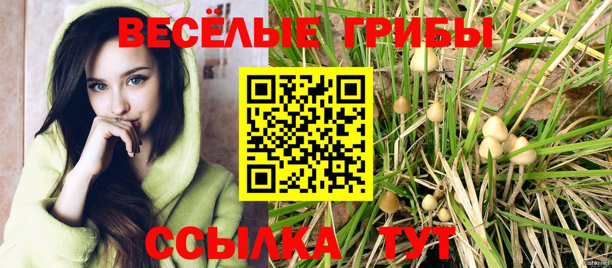 Рыбинск  Галлюциногенные грибы прущие грибы  продажа наркотиков  Вход с VPN  Псилоцибиновые грибы прущие грибы 
